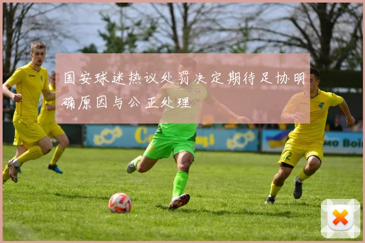国安球迷热议处罚决定期待足协明确原因与公正处理