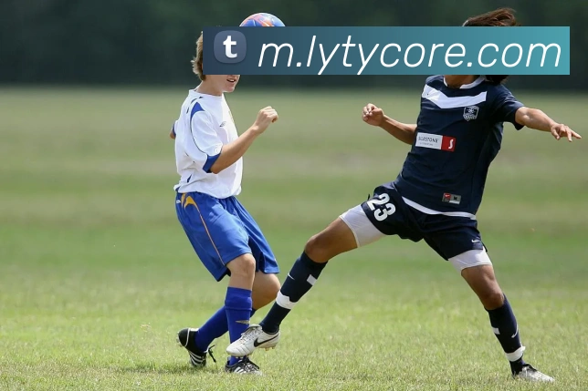 数据防护可视化